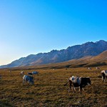 Piana di Campo Imperatore