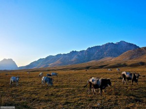 Piana di Campo Imperatore