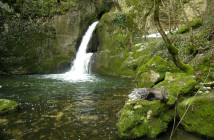 Stiffe Cascata con Istrice