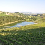 Paesaggio Teramano  (N. Masci)