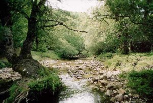 Parco Nazionale D'Abruzzo