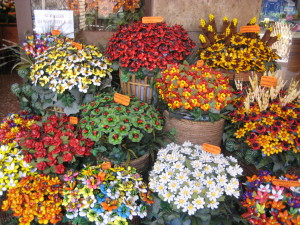 Sulmona: Confetti