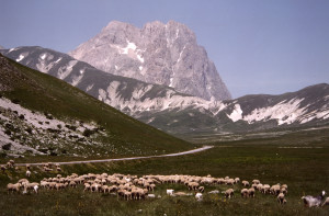 Piana di Campo Imperatore ( E. Rainaldi)